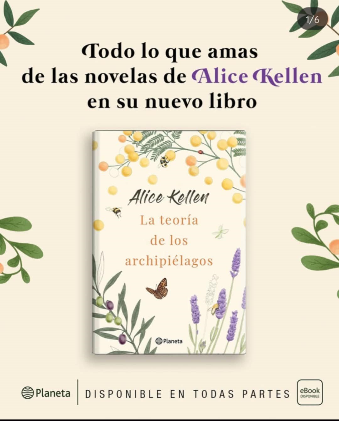 LA TEORIA DE LOS ARCHIPIELAGOS 3